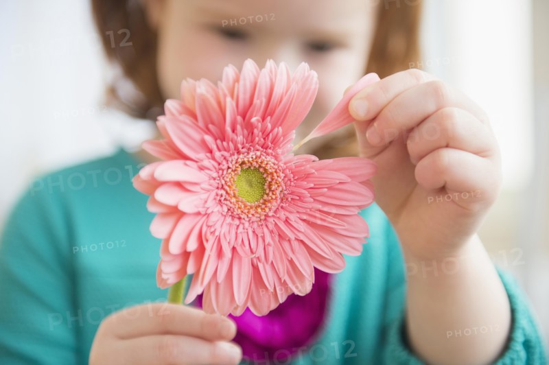 Caucasian girl plucking petal from flower