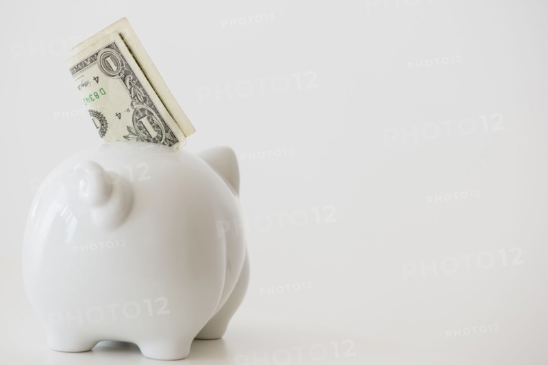 Close up of piggy bank with money