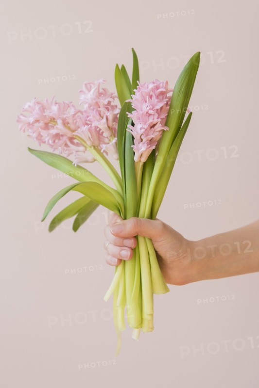 Hand of Caucasian woman holding bouquet of pink flowers