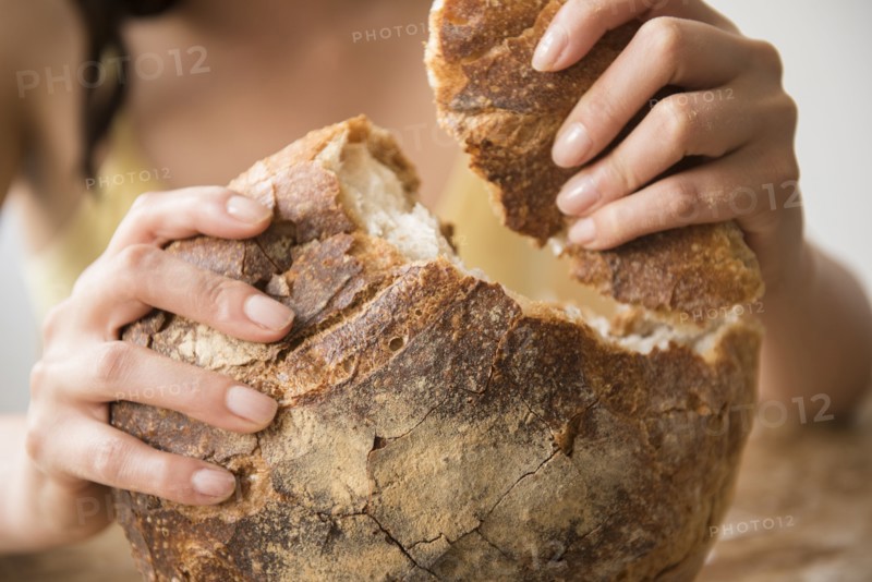 Hispanic woman tearing round loaf of bread