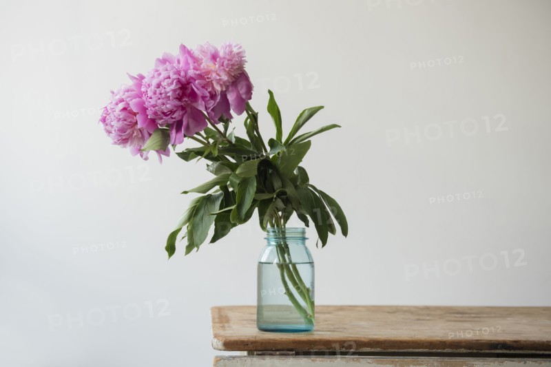 Pink flowers in jar on table