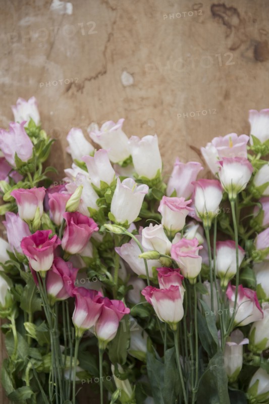 Flowers laying on wooden table