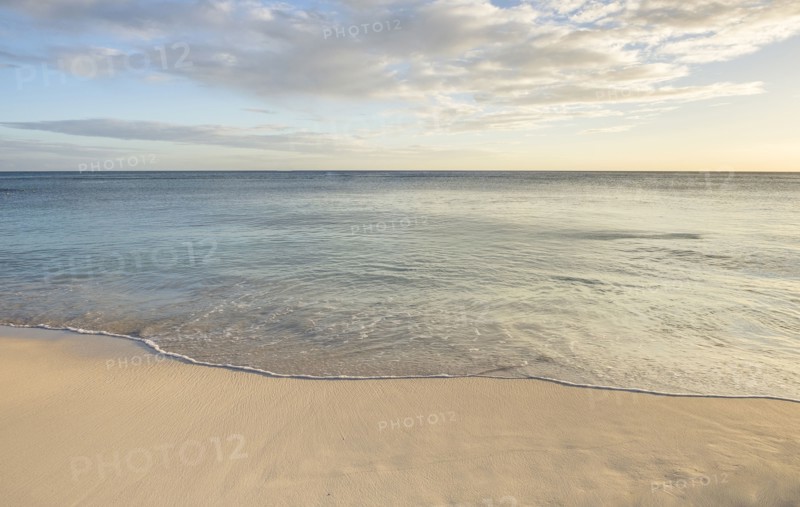 Ocean wave on beach