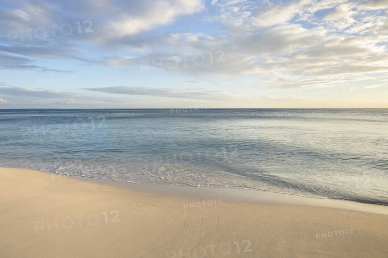 Ocean wave on beach