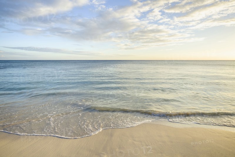 Ocean wave on beach