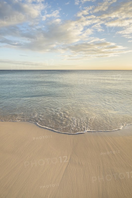 Ocean wave on beach