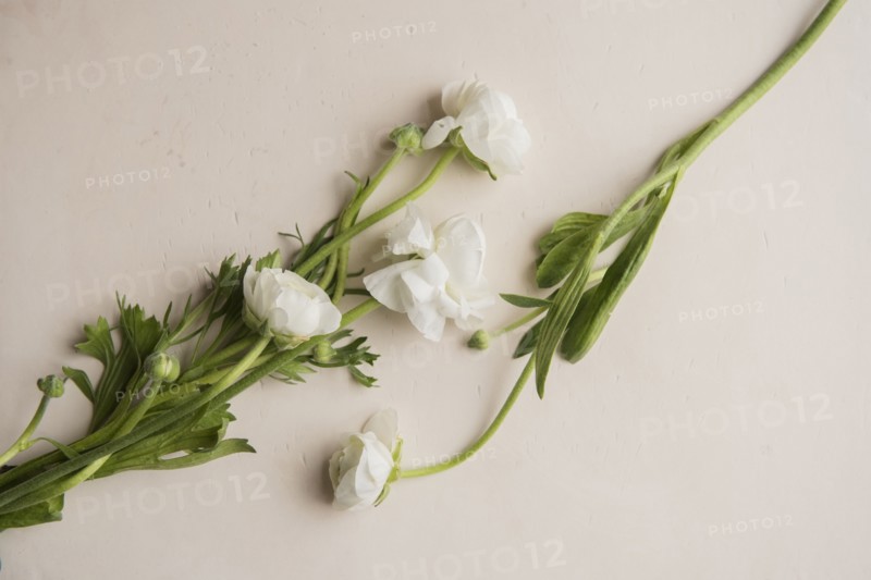 Close up of flowers on table