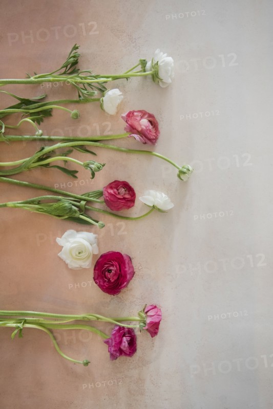 Flowers on table