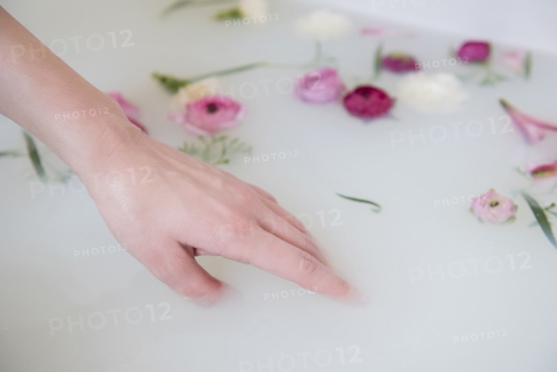 Hand of Caucasian woman in milk bath with flowers