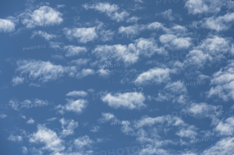 Puffy white clouds in blue sky