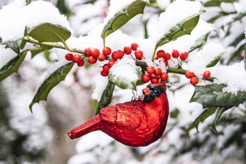 Red cardinal ornament