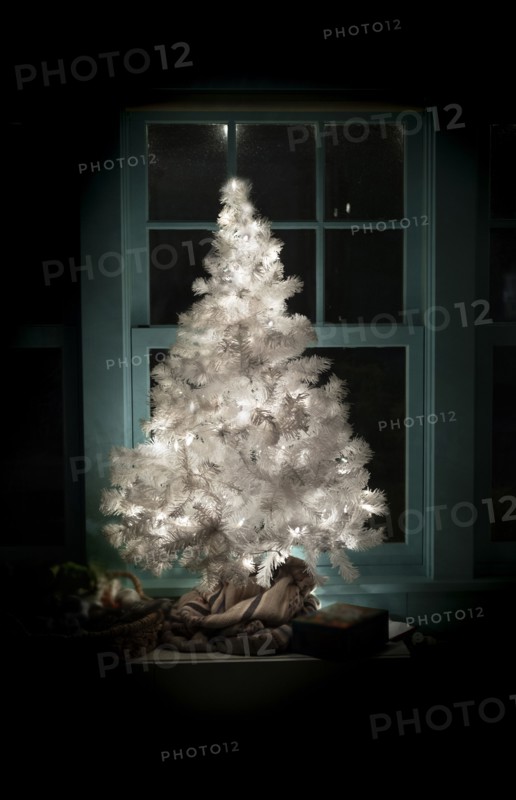 Illuminated white Christmas tree