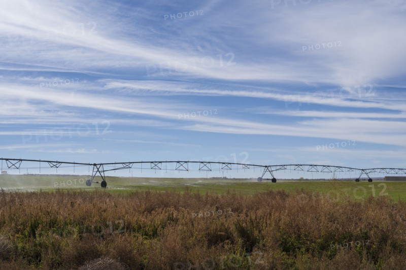 Irrigation system in field