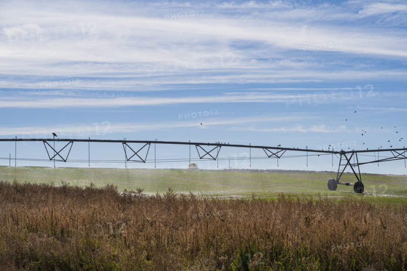 Irrigation system in field