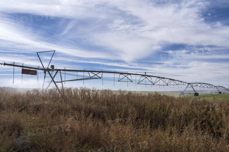 Irrigation system in field