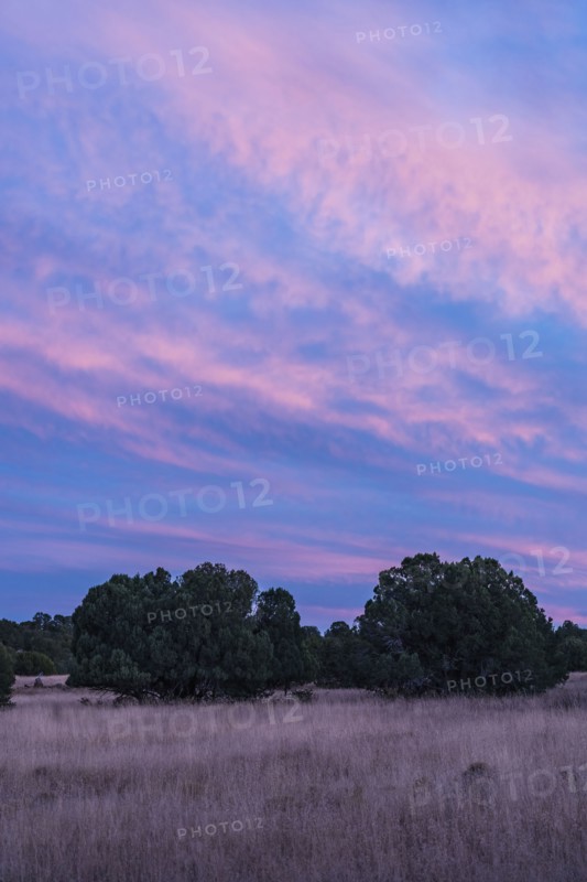 Sunset sky above calm landscape in Gila National Forest