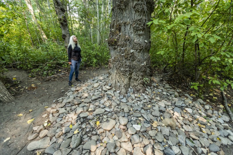 Woman looking at tree