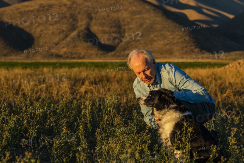 Man with border collie in field at sunset