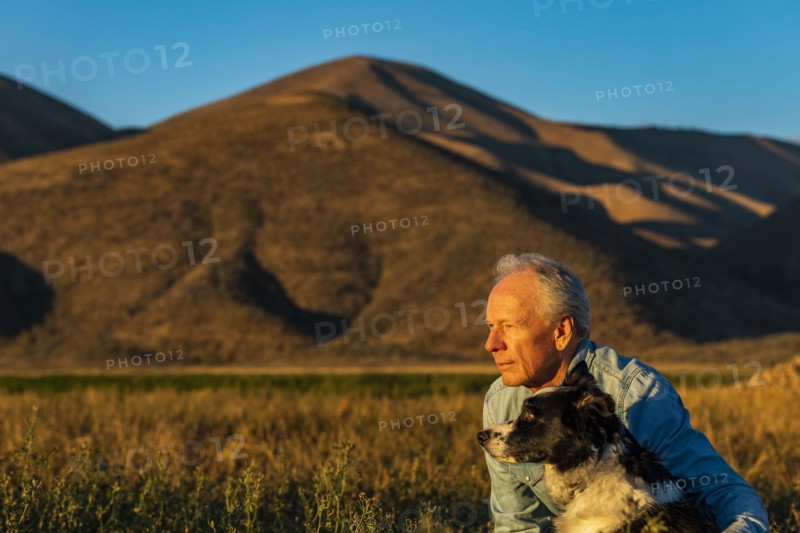 Senior man with border collie in field at sunset