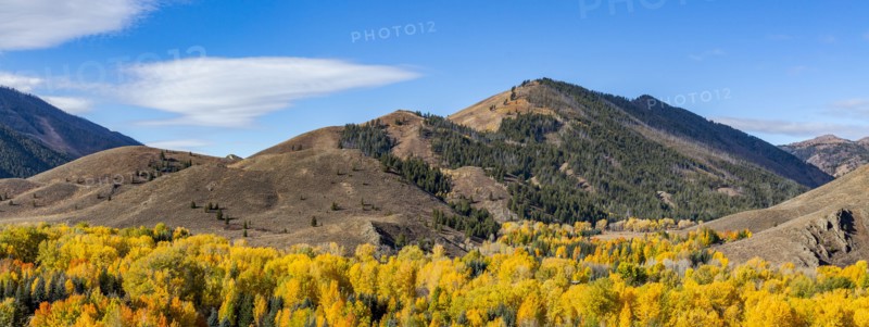 Forested hills in Autumn