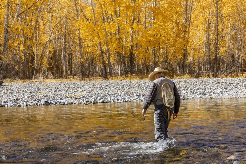 Rear view of senior fisherman