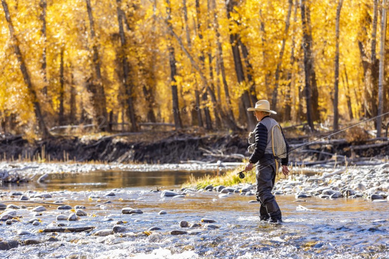 Senior fisherman wading in Big Wood River in Autumn