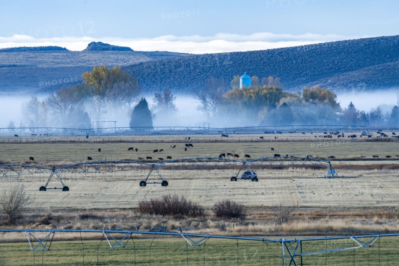 Agricultural sprinklers