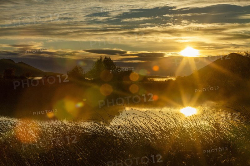 Sunrise over reeds in calm spring creek