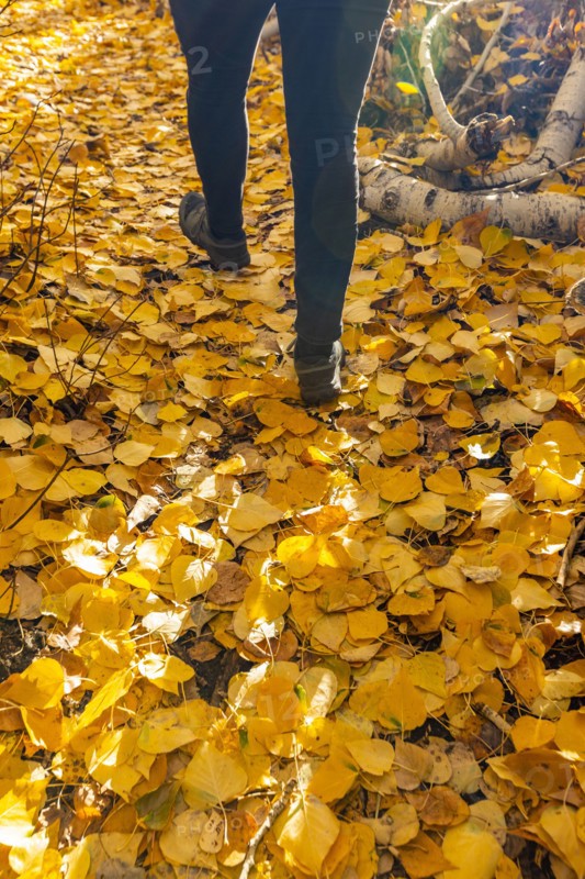 Legs of woman walking on footpath