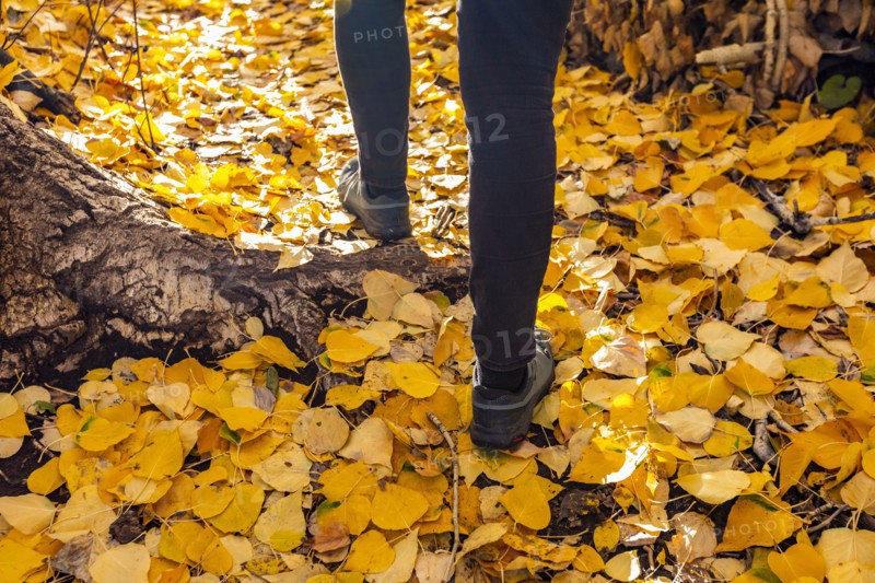 Legs of woman walking on footpath