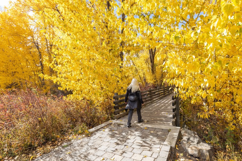 Rear view of woman walking