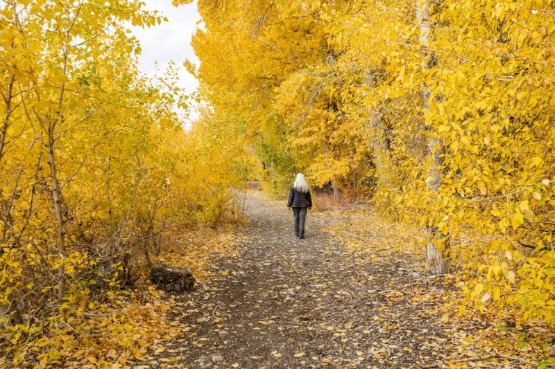 Rear view of woman walking