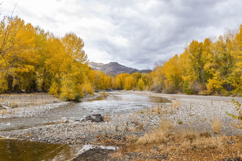 Big Wood River and yellow Autumn trees