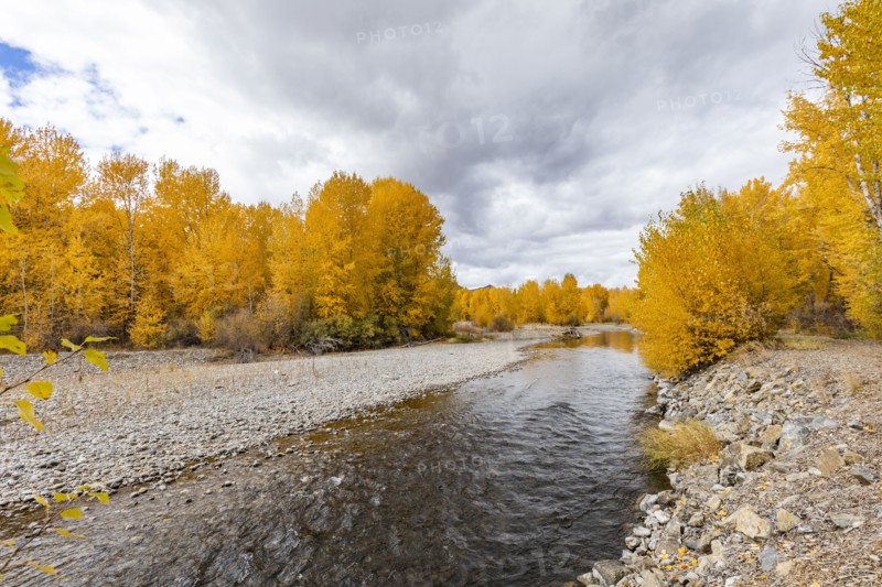 Big Wood River and yellow Autumn trees