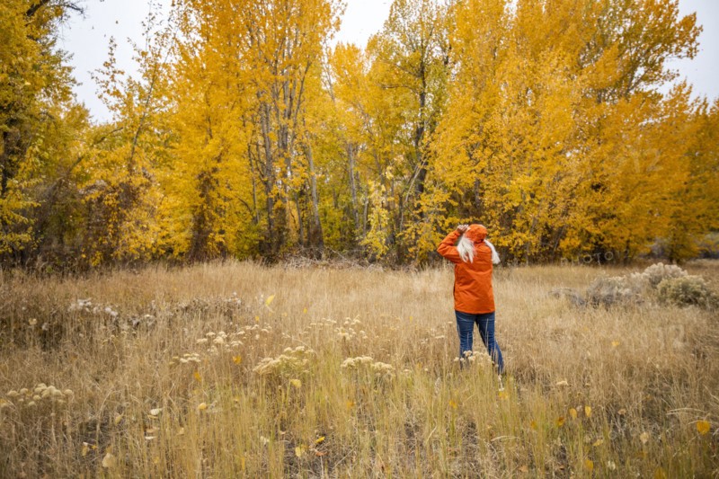 Rear view of woman in grassy meadow in Autumn