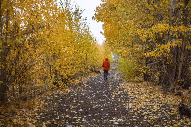 Rear view of woman walking on footpath