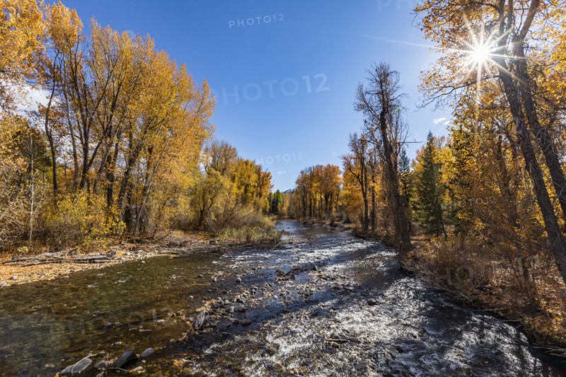 River and trees on sunny Autumn day