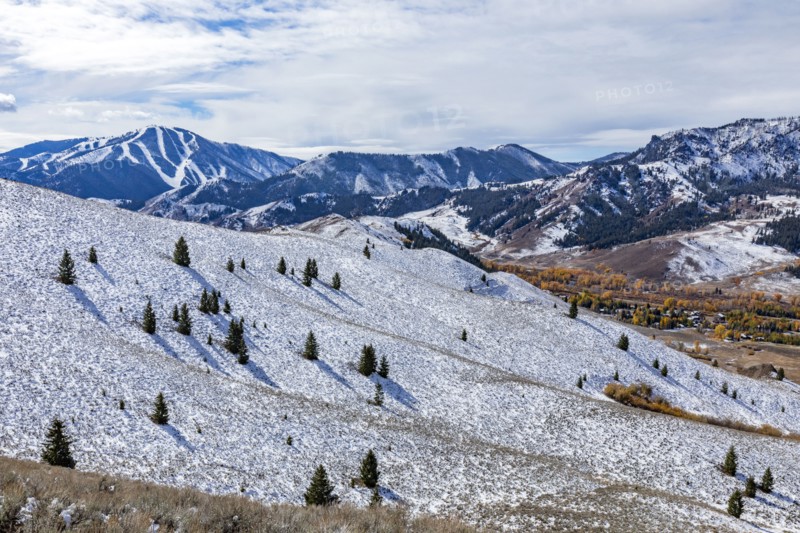 Snow covered hillside