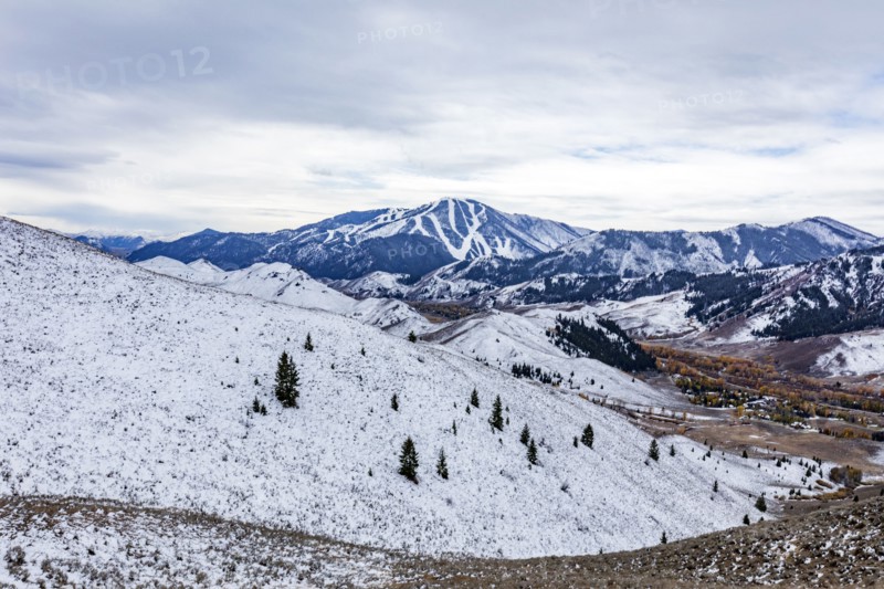 Snow covered hillside