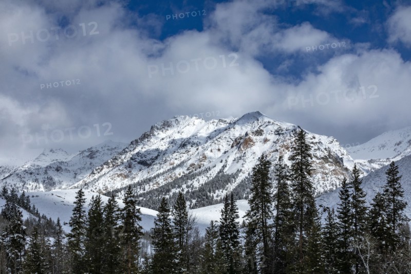 Mountain landscape and forest in winter