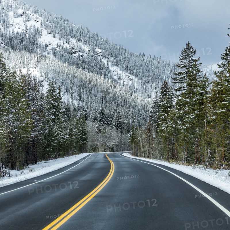 Road through snowy forest