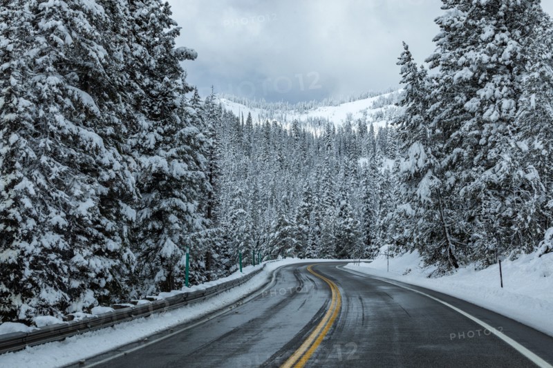 Road through snowy forest