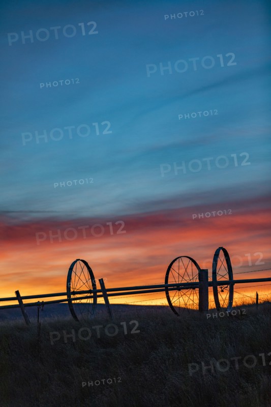Silhouette of irrigation wheels in field at sunset