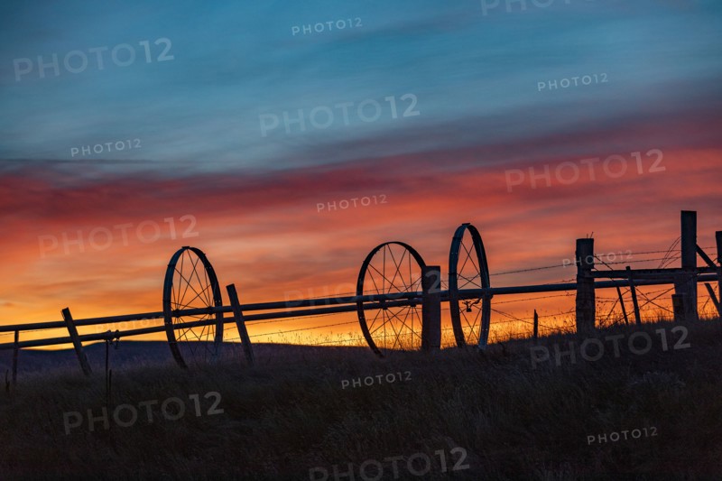 Silhouette of irrigation wheels in field at sunset