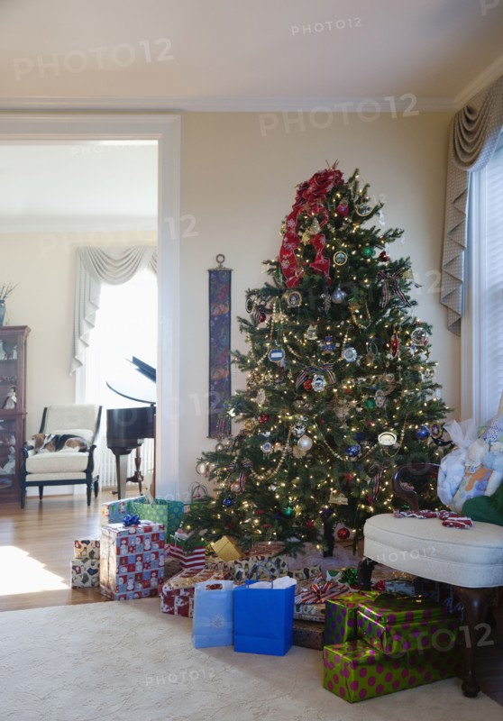 Christmas tree and presents in living room