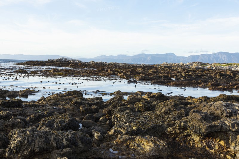 Rocky sea shore
