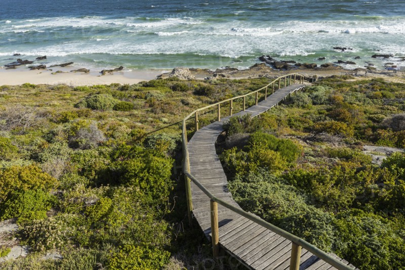 Wooden bridge to beach
