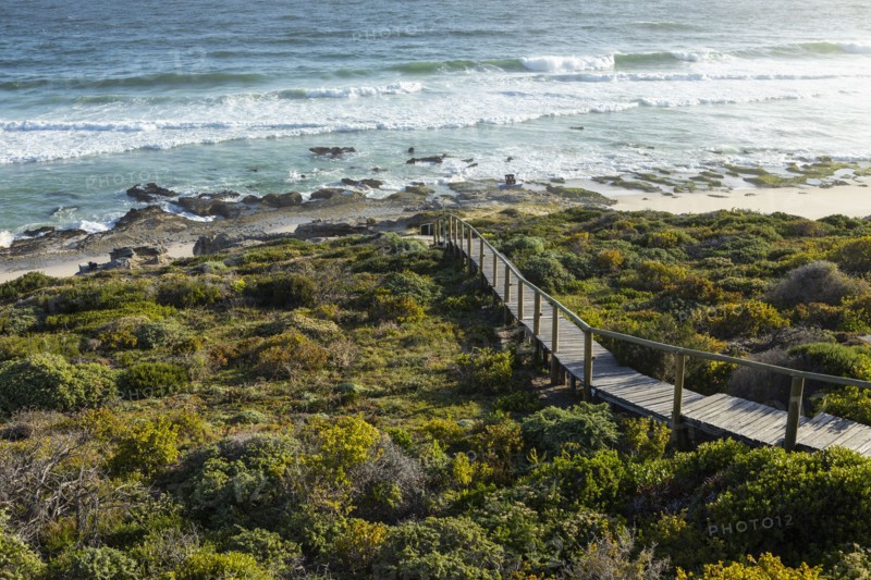 Wooden bridge to beach