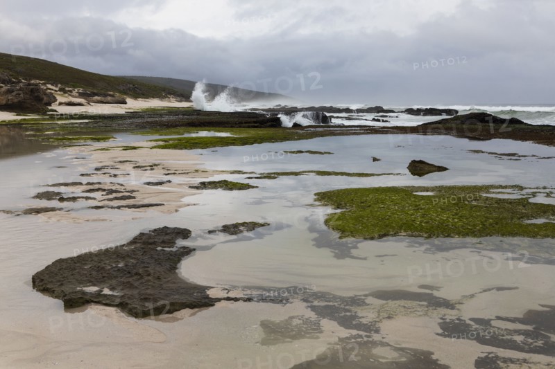 Coastline and tidal pools