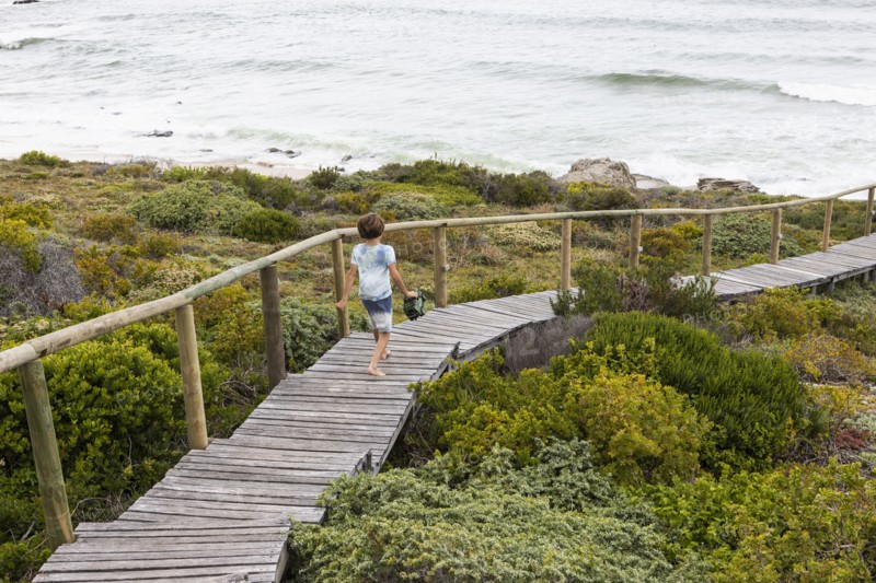 Boy walking on wooden bridge